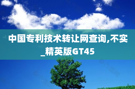 中国专利技术转让网查询,不实_精英版GT45