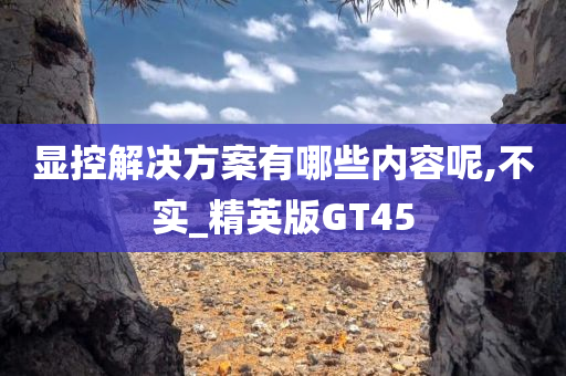 显控解决方案有哪些内容呢,不实_精英版GT45