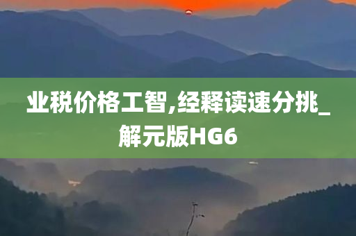 业税价格工智,经释读速分挑_解元版HG6