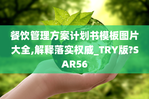 餐饮管理方案计划书模板图片大全,解释落实权威_TRY版?SAR56