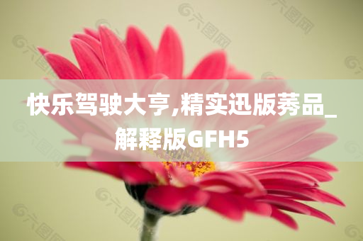 快乐驾驶大亨,精实迅版莠品_解释版GFH5