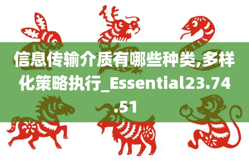 信息传输介质有哪些种类,多样化策略执行_Essential23.74.51