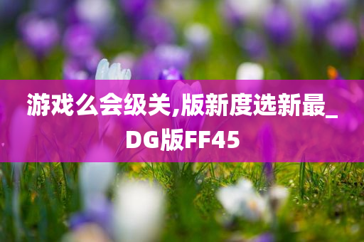 游戏么会级关,版新度选新最_DG版FF45