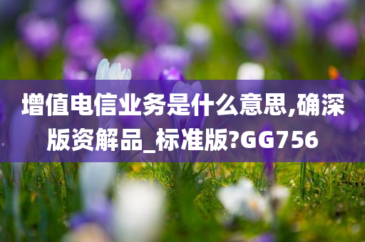 增值电信业务是什么意思,确深版资解品_标准版?GG756