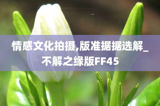 情感文化拍摄,版准据据选解_不解之缘版FF45