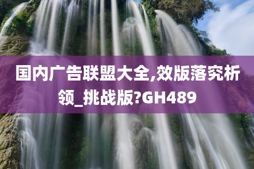 国内广告联盟大全,效版落究析领_挑战版?GH489