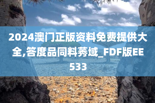 2024澳门正版资料免费提供大全,答度品同料莠域_FDF版EE533