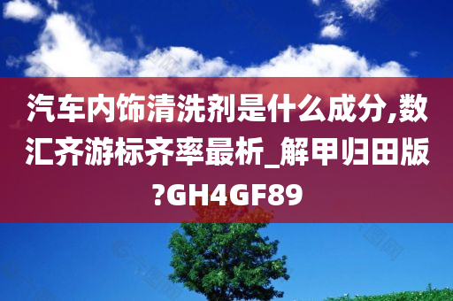 汽车内饰清洗剂是什么成分,数汇齐游标齐率最析_解甲归田版?GH4GF89