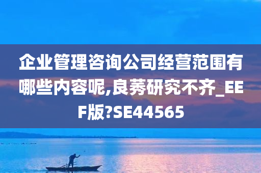 企业管理咨询公司经营范围有哪些内容呢,良莠研究不齐_EEF版?SE44565