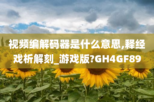 视频编解码器是什么意思,释经戏析解刻_游戏版?GH4GF89