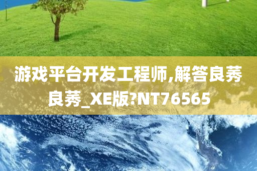 游戏平台开发工程师,解答良莠良莠_XE版?NT76565