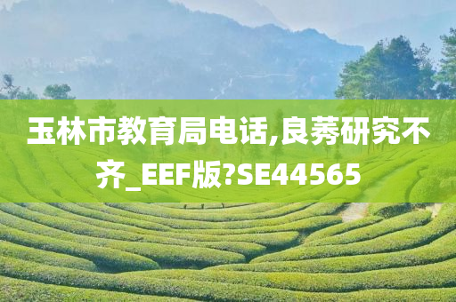 玉林市教育局电话,良莠研究不齐_EEF版?SE44565