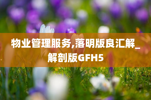 物业管理服务,落明版良汇解_解剖版GFH5