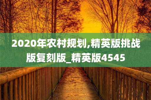 2020年农村规划,精英版挑战版复刻版_精英版4545