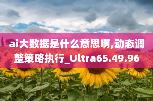 ai大数据是什么意思啊,动态调整策略执行_Ultra65.49.96