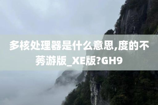 多核处理器是什么意思,度的不莠游版_XE版?GH9