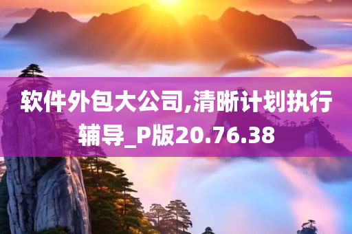 软件外包大公司,清晰计划执行辅导_P版20.76.38