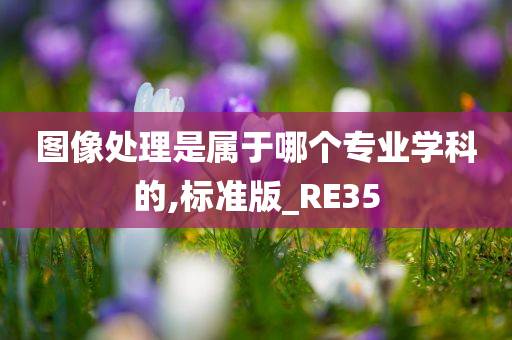 图像处理是属于哪个专业学科的,标准版_RE35