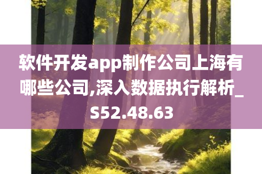 软件开发app制作公司上海有哪些公司,深入数据执行解析_S52.48.63