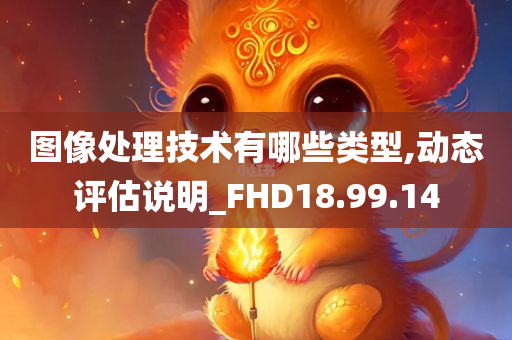 图像处理技术有哪些类型,动态评估说明_FHD18.99.14