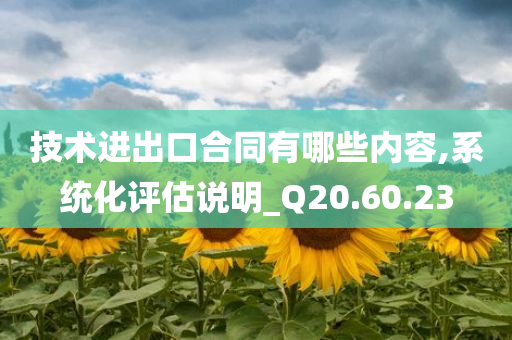 技术进出口合同有哪些内容,系统化评估说明_Q20.60.23