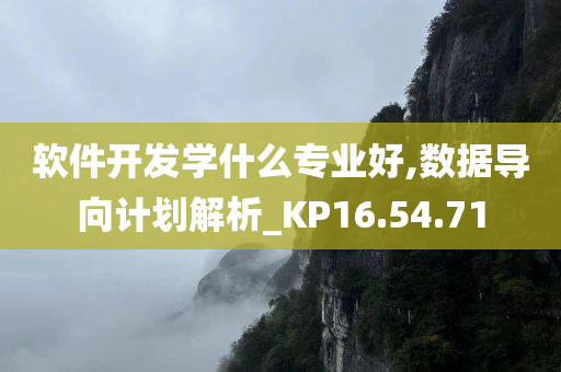 软件开发学什么专业好,数据导向计划解析_KP16.54.71