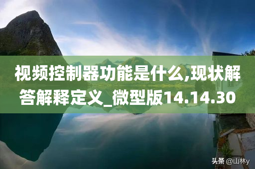 视频控制器功能是什么,现状解答解释定义_微型版14.14.30