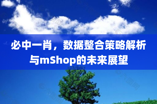 必中一肖，数据整合策略解析与mShop的未来展望