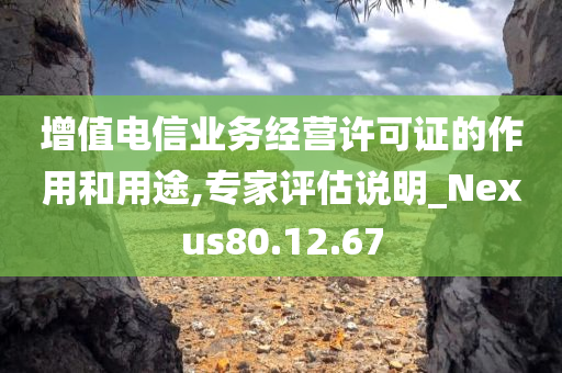 增值电信业务经营许可证的作用和用途,专家评估说明_Nexus80.12.67