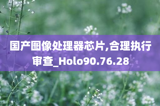 国产图像处理器芯片,合理执行审查_Holo90.76.28