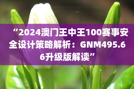 “2024澳门王中王100赛事安全设计策略解析：GNM495.66升级版解读”