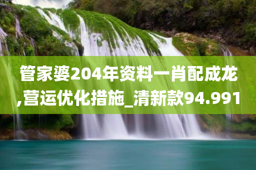 管家婆204年资料一肖配成龙,营运优化措施_清新款94.991