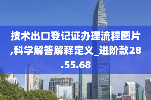 技术出口登记证办理流程图片,科学解答解释定义_进阶款28.55.68