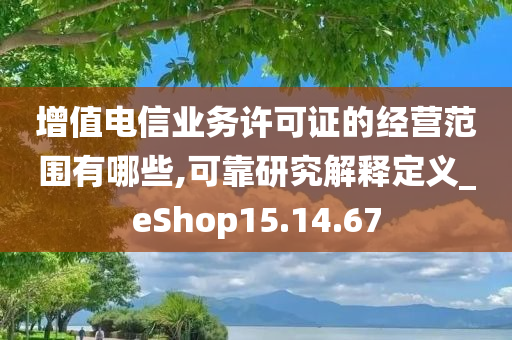 增值电信业务许可证的经营范围有哪些,可靠研究解释定义_eShop15.14.67