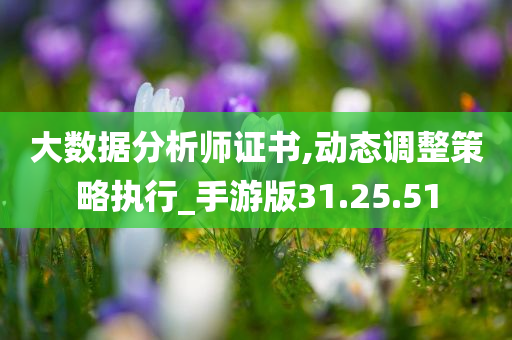 大数据分析师证书,动态调整策略执行_手游版31.25.51