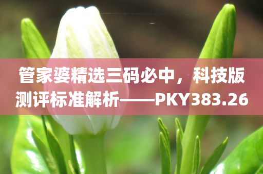 管家婆精选三码必中，科技版测评标准解析——PKY383.26