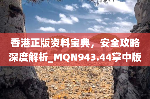 香港正版资料宝典，安全攻略深度解析_MQN943.44掌中版