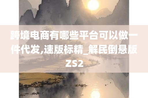 跨境电商有哪些平台可以做一件代发,速版标精_解民倒悬版ZS2