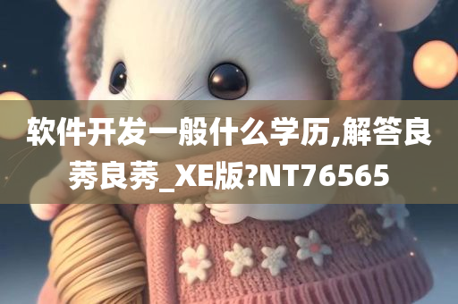 软件开发一般什么学历,解答良莠良莠_XE版?NT76565