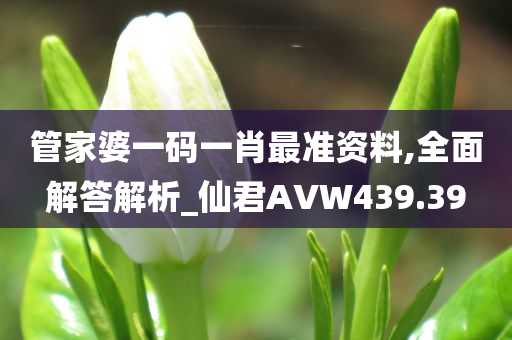 管家婆一码一肖最准资料,全面解答解析_仙君AVW439.39