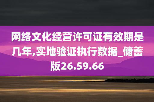 网络文化经营许可证有效期是几年,实地验证执行数据_储蓄版26.59.66