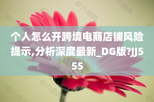 个人怎么开跨境电商店铺风险提示,分析深度最新_DG版?JJ555