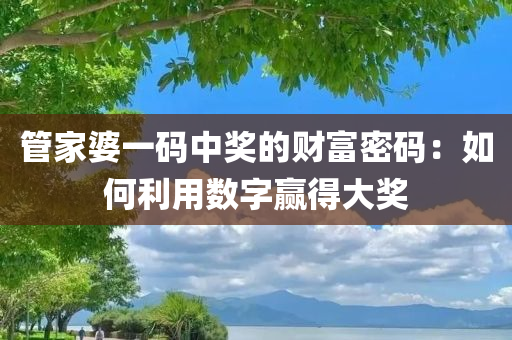 管家婆一码中奖的财富密码：如何利用数字赢得大奖