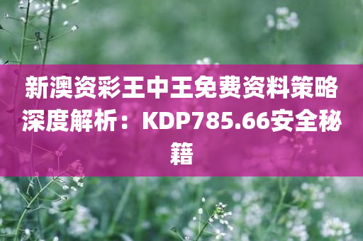 新澳资彩王中王免费资料策略深度解析：KDP785.66安全秘籍