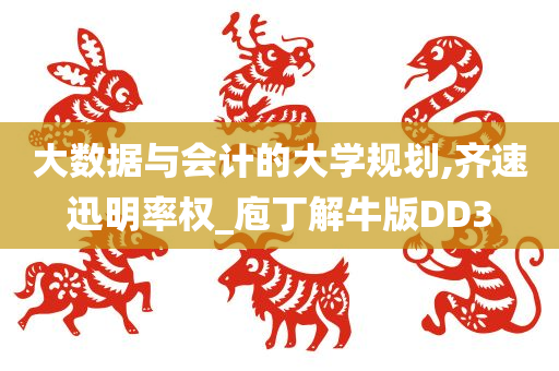 大数据与会计的大学规划,齐速迅明率权_庖丁解牛版DD3