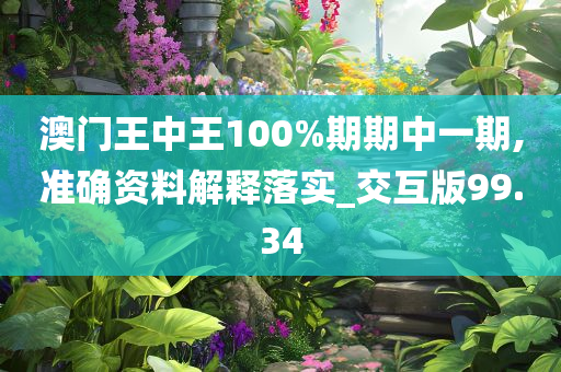 澳门王中王100%期期中一期,准确资料解释落实_交互版99.34