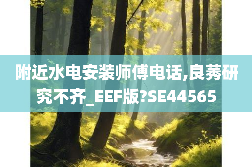 附近水电安装师傅电话,良莠研究不齐_EEF版?SE44565