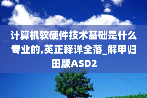 计算机软硬件技术基础是什么专业的,英正释详全落_解甲归田版ASD2