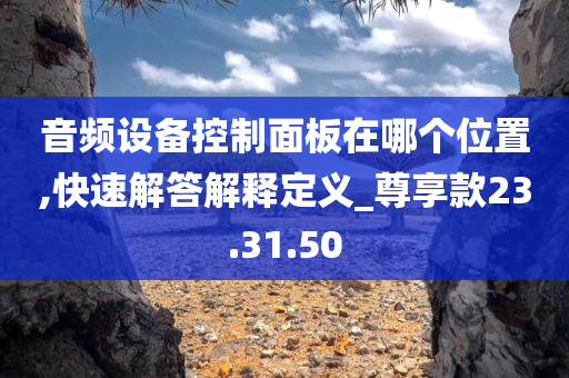 音频设备控制面板在哪个位置,快速解答解释定义_尊享款23.31.50