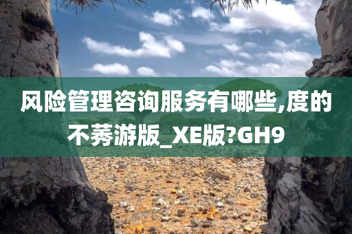 风险管理咨询服务有哪些,度的不莠游版_XE版?GH9